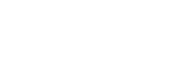 SLYRSA Connect